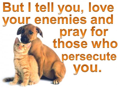 Love your enemy