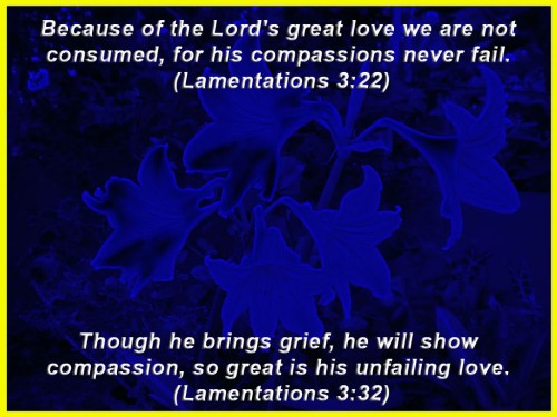 The Lords Great Love