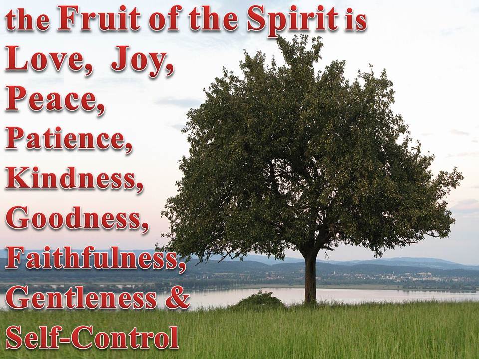 fruit of the spirit