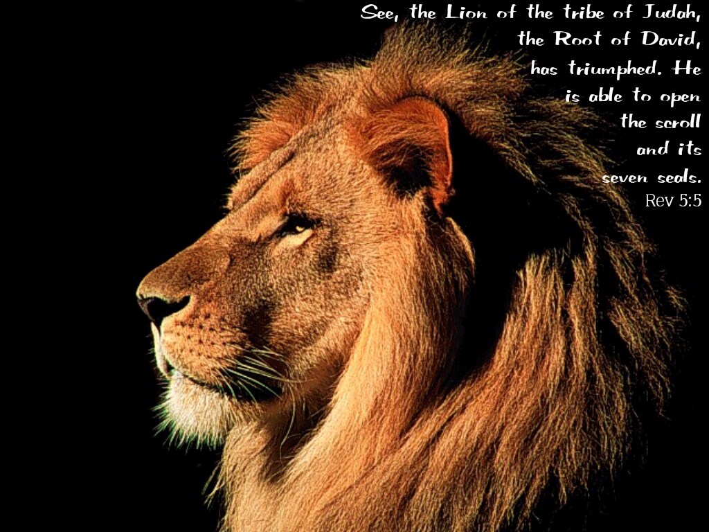 lion of the tribe of judah