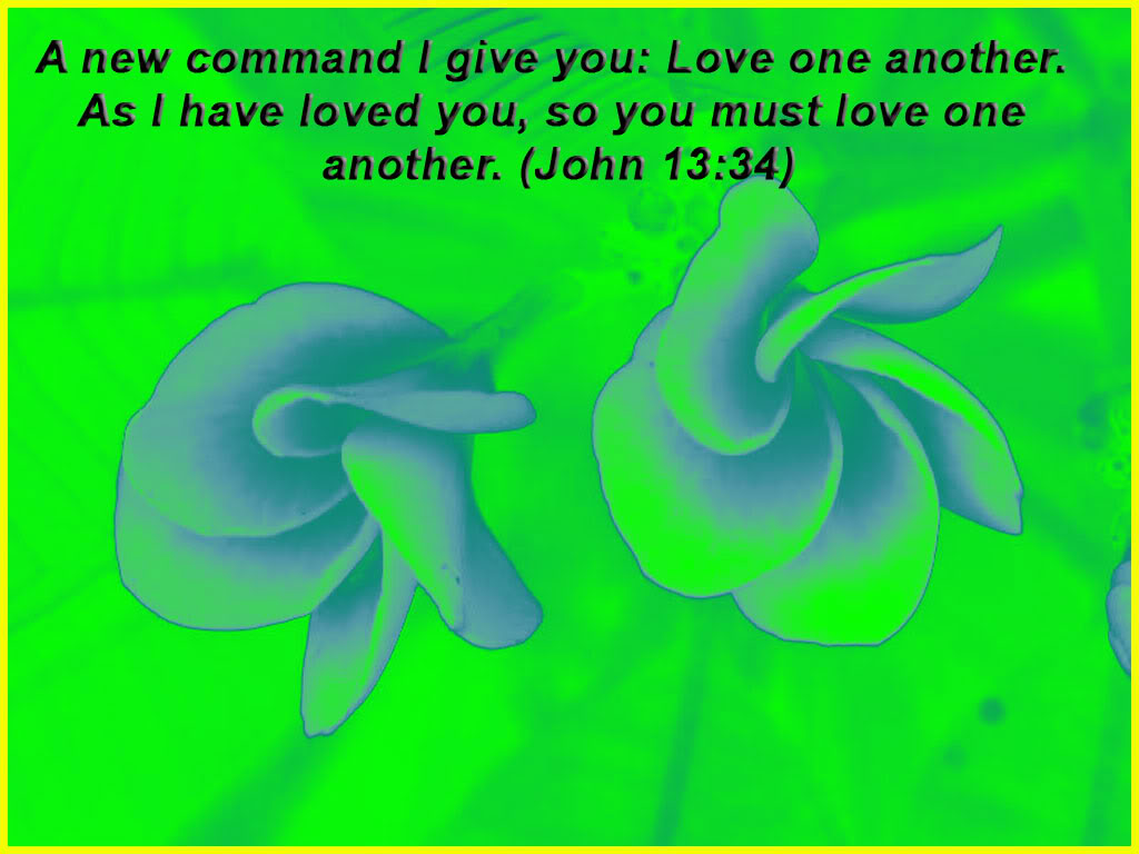 Love One Another By Jesus