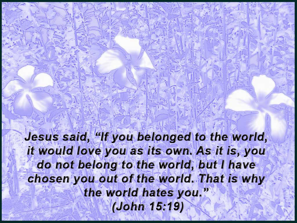 The World Loves Its Own