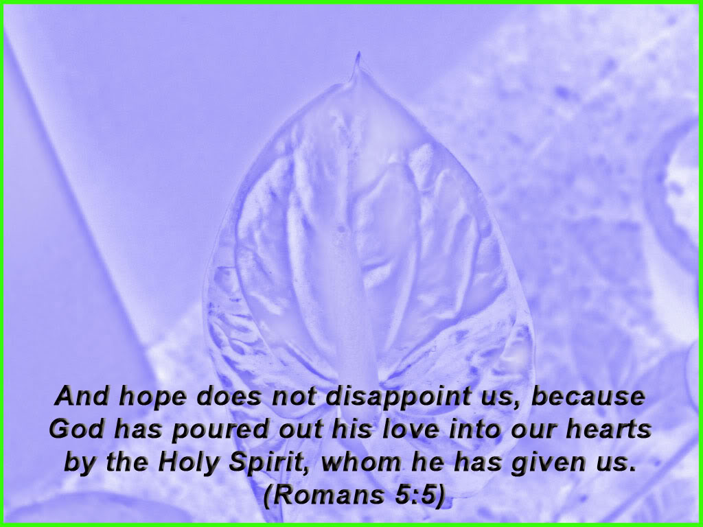 Hope Does Not Disappoint