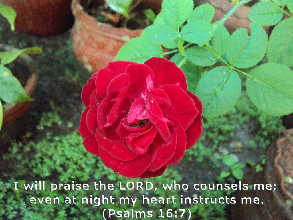 Praise God Every Day