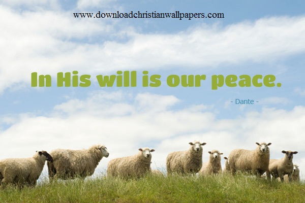 Gods Will Is Our Peace