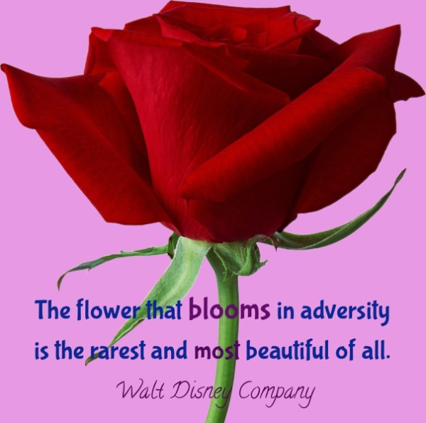 The rarest and most beautiful of all